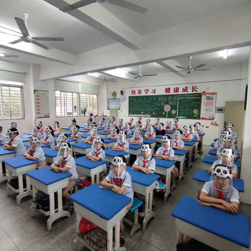 2Pcs Full Face Protective Anti - Kids Face Mask review and price